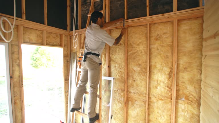 Best Soundproof Insulation  in Mount Carmel, TN