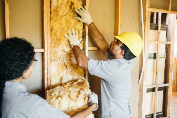 Types of Insulation We Offer in Mount Carmel, TN