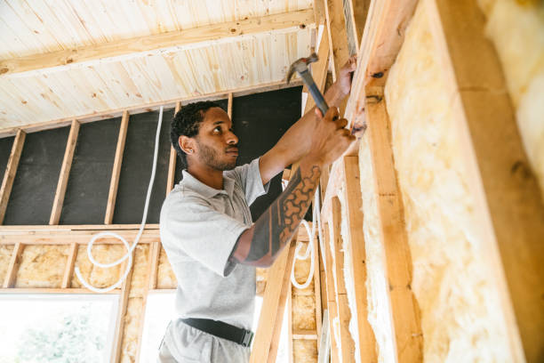 Professional Insulation in Mount Carmel, TN