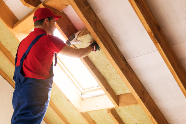 Best Spray Foam Insulation  in Mount Carmel, TN